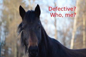 horses are not defective
