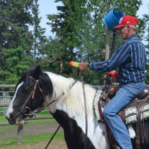 horses obstacle challenge