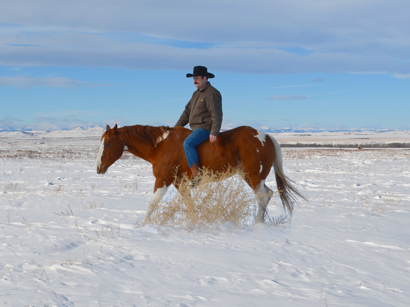 Riding Spud bareback without reins or a halter.