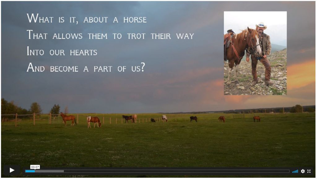 video about connection with horses