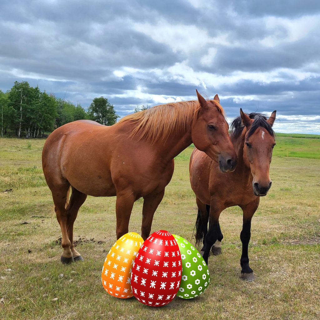 zeus chip and easter eggs