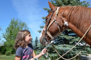 Horses sense the innocence in children