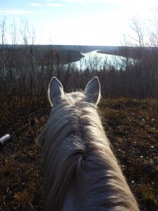 Machesis Lake Horse Camp