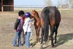 Kids meet the new horse.