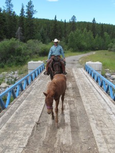 Horsemanship Bridge