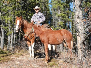 Horsemanship Leadership Trail Colt