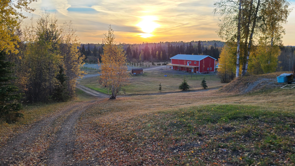 beauty in the fall
