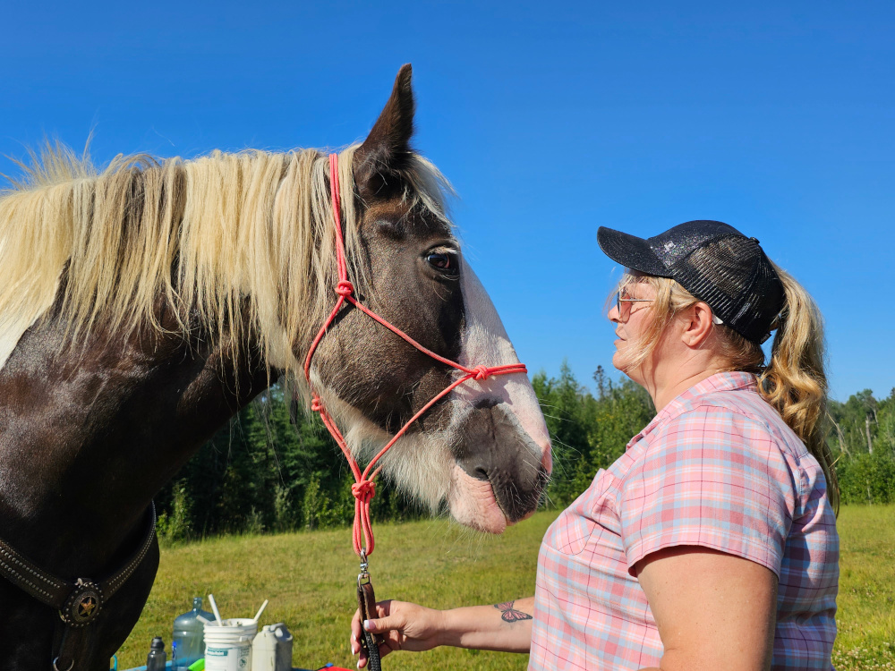 What your horse really needs.